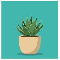 Aloe Vera Plant in Beige Pot on Blue Background Illustration vector