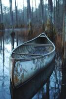 Old canoe resting in a quiet swamp at dawn photo