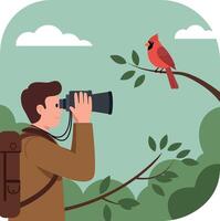 Birdwatcher using binoculars watching cardinal bird on tree branch in nature illustration vector