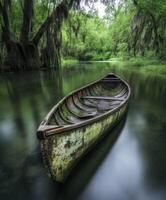Serene canoe resting in lush green swamp waters photo