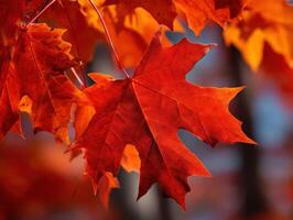 Vibrant autumn leaves in a serene forest setting photo