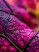Colorful close-up of vibrant leaves in nature photo