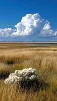 Vast open landscape with clouds over grassy plains photo