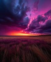 Colorful sunset over vast grassy landscape photo