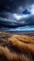 Expansive grassland under dramatic stormy skies photo
