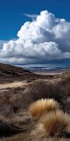 Dramatic clouds over expansive grassland landscape photo