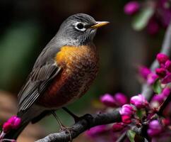 A bird perched on a branch of a tree photo