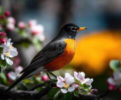 A bird sitting on a branch of a tree photo