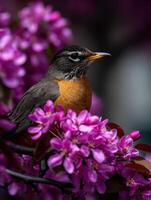 A bird is sitting on a branch of a tree with pink flowers photo