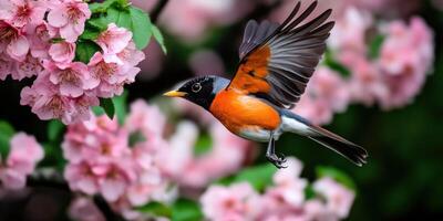 A bird flying over a flowering tree photo