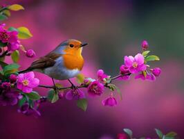 Robin perched on blooming flowers in vibrant spring photo