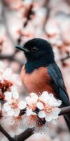 Bright robin perched among blooming spring flowers photo