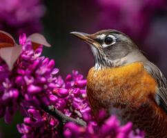 A bird is perched on a branch of purple flowers photo