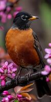 Spring robin perched among blooming flowers in garden photo