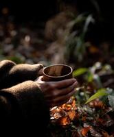 A person holding a cup of tea in the autumn leaves photo