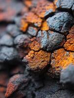 A close up of a rock with orange and black paint photo