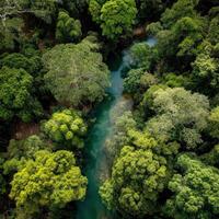 Aerial view of tropical forest in amazon rainforest photo