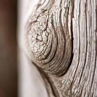 Close up of a wood panel with a knot photo