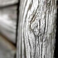 Close up of a wood plank with a white paint photo