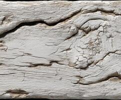 A close up of a piece of wood with a white paint photo