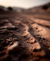 A close up of a dirt road in the desert photo