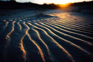 Sunset on the sand dunes photo