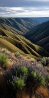 A view of a valley with purple flowers and hills photo