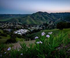 A view of the hills and valley at sunset photo