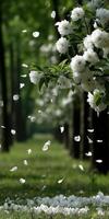 White flowers are blowing in the wind near a tree photo