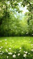 Spring background wallpaper hd photo