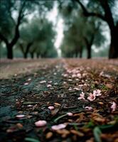 A path with pink flowers and trees in the background photo