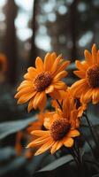 Orange flowers in the forest photo
