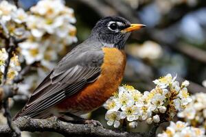A bird perched on a tree branch with flowers photo