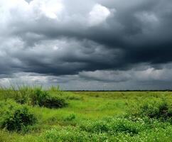 A field with green grass and trees under a dark sky photo