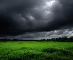 A field with dark clouds over it photo