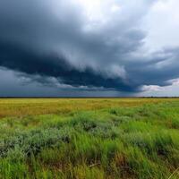 A large storm clouds over a grassy field photo