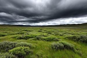 A grassy field with dark clouds over it photo