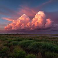 A pink cloud is in the sky over a field photo
