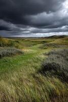 A grassy field with a dark sky and clouds photo