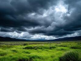 A field with grass and trees under a stormy sky photo