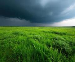 A field with green grass and a stormy sky photo