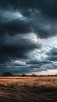 A dark sky over a field with grass and trees photo