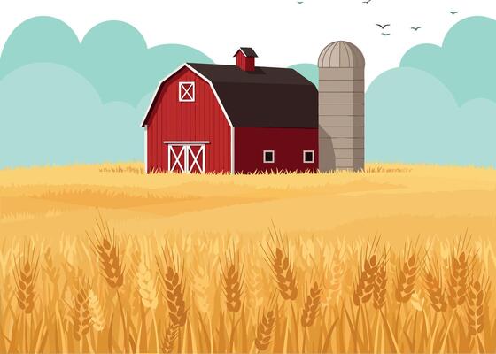 Red barn and silo with golden wheat field under blue sky illustration