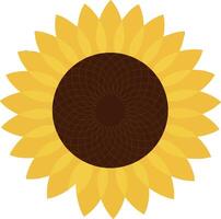 Sunflower illustration with yellow petals and brown center in flat design style vector