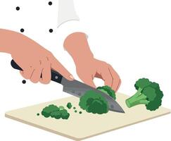 Hands Cutting Fresh Broccoli on White Cutting Board Illustration vector