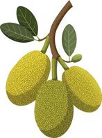 Jackfruit branch with green leaves and ripe yellow fruits illustration vector