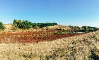 Field with a river running through it photo