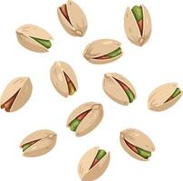 Pistachio nuts scattered illustration with natural beige shells and green kernels vector