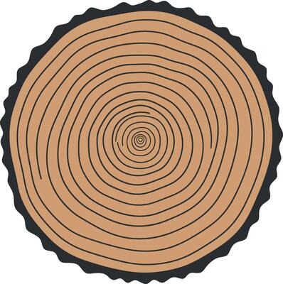 Tree trunk cross section with concentric rings natural texture illustration