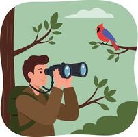 Birdwatcher observing cardinal bird in green forest with binoculars illustration vector